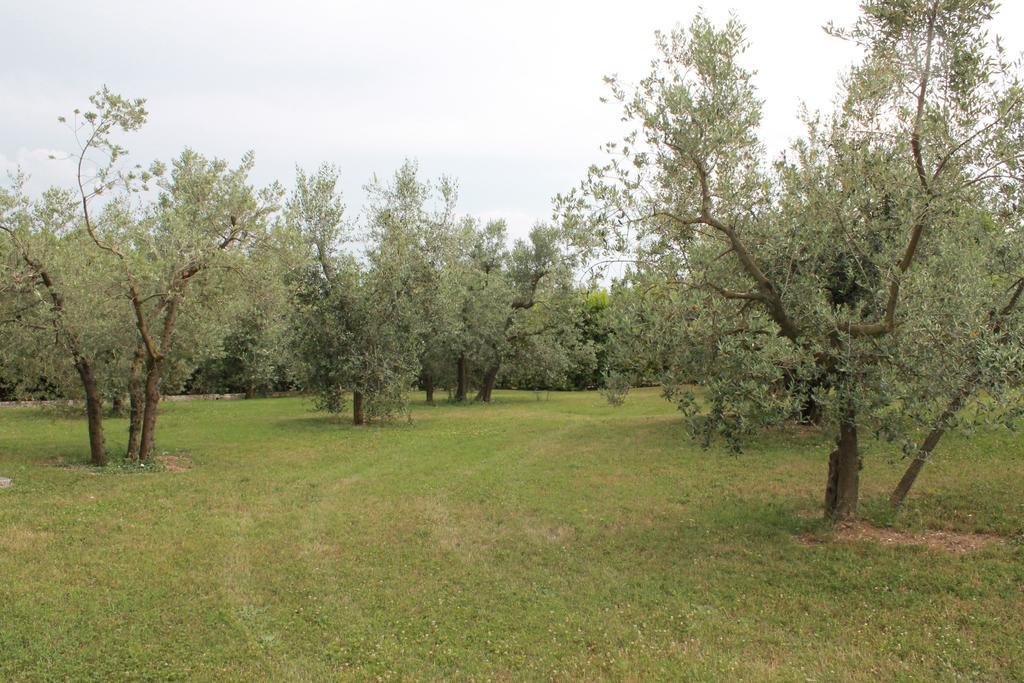 Agriturismo Piano Grande Avigliano Umbro Quarto foto